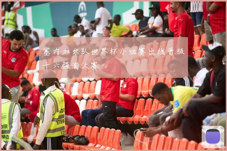 塞内加尔队世界杯小组赛出线晋级十六强淘汰赛
