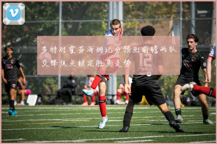 多特对霍芬海姆比分预测前瞻两队交锋焦点锁定胜负走势