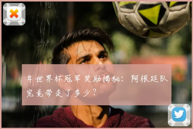 年世界杯冠军奖励揭秘:阿根廷队究竟带走了多少?
